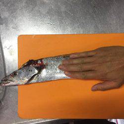 初西宮ケーソン