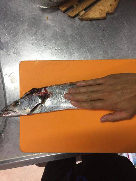 初西宮ケーソン