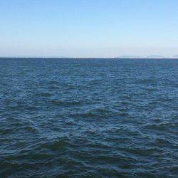 マイポイントで朝練