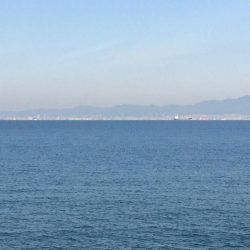 南港周辺のマイポイントで朝練