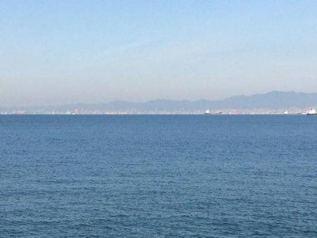 南港周辺のマイポイントで朝練