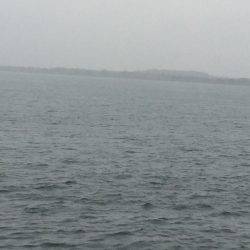 雨の中、、、、