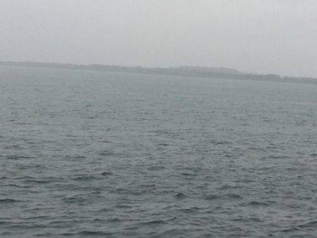 雨の中、、、、