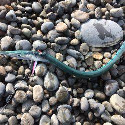 久しぶりの遠征