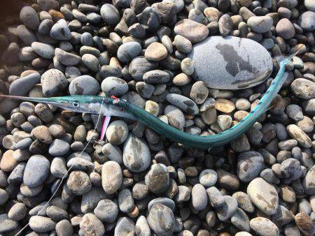 久しぶりの遠征