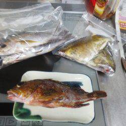 今回は良く釣れた・・アオリイカ・・・他・・・