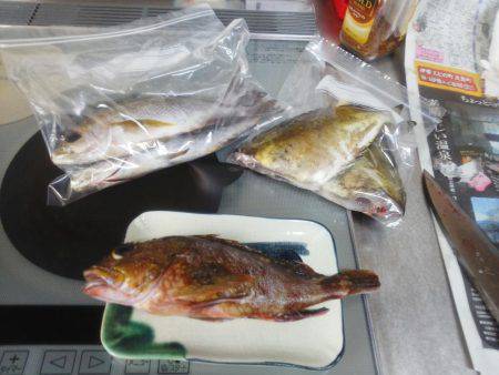 今回は良く釣れた・・アオリイカ・・・他・・・