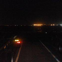 ドラゴン狩り！！