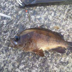 ぽかぽか陽気で