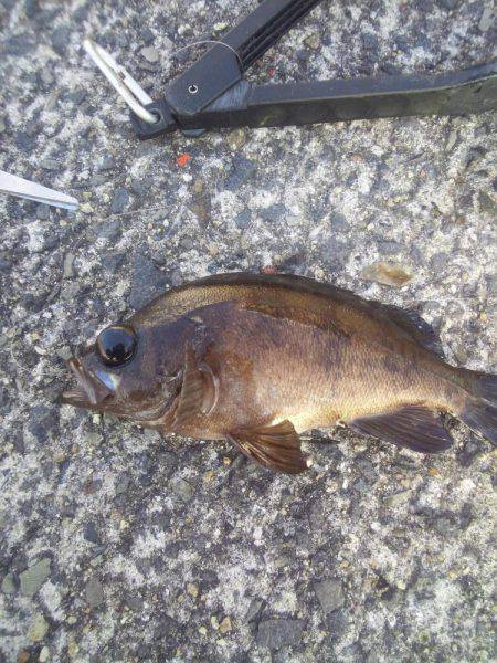 ぽかぽか陽気で