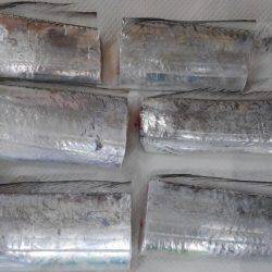 岩屋タチウオまだまだいてる