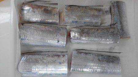 岩屋タチウオまだまだいてる