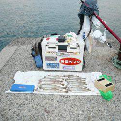 西淡落ち不発で浦港で良型キスゲット