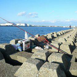 二見人工島へ落ちギス調査