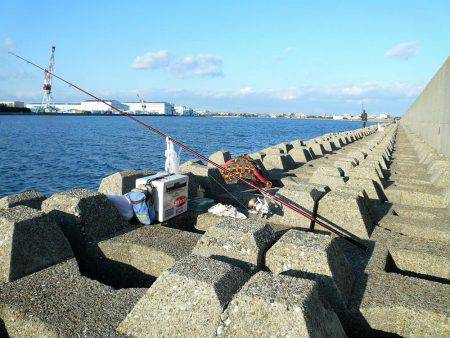 二見人工島へ落ちギス調査