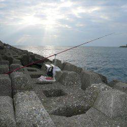 二見人工島に落ちギス入る