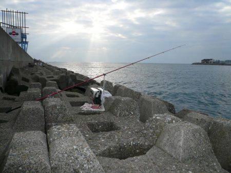 二見人工島に落ちギス入る