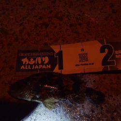 メバリング・・・