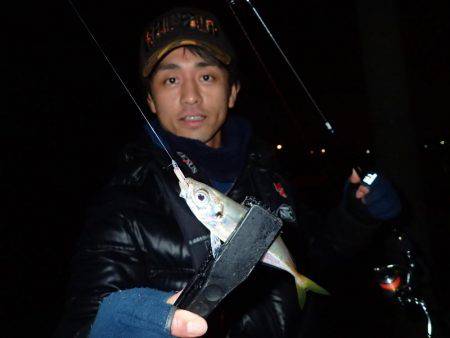 ボトムアジング！