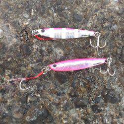 イレブンスリー