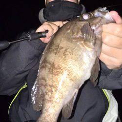 アジング&メバリング