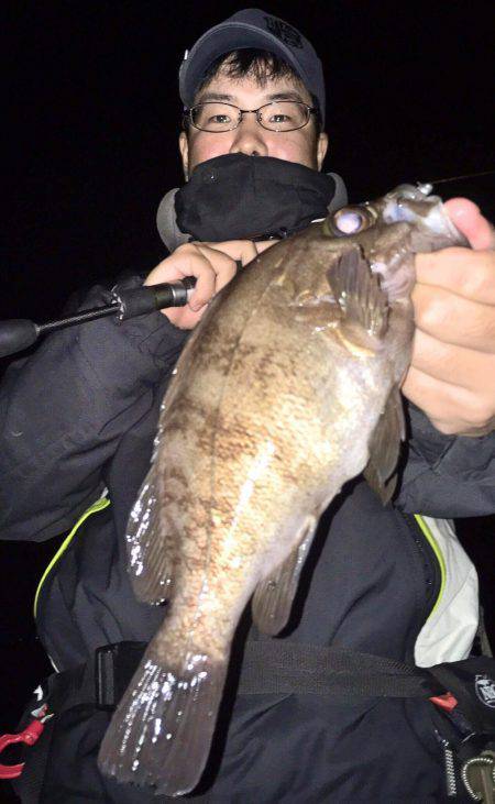 アジング&メバリング