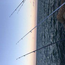 カレイ狙いその3