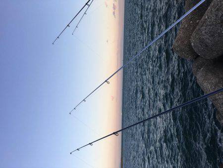 カレイ狙いその3