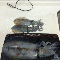 久しぶりのキロアップ