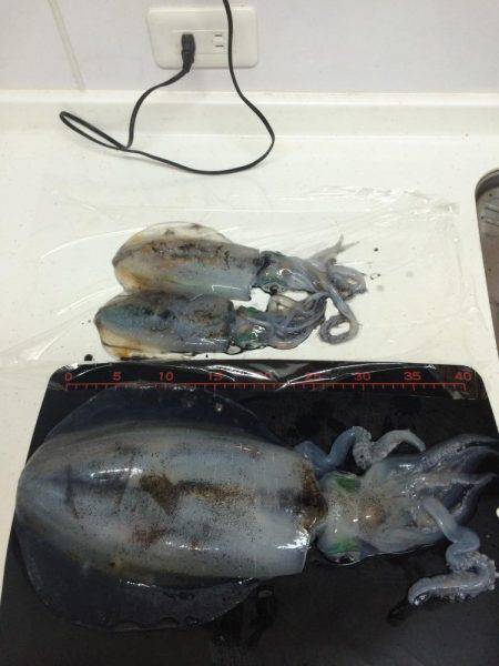 久しぶりのキロアップ