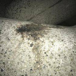 昨日のリベンジに