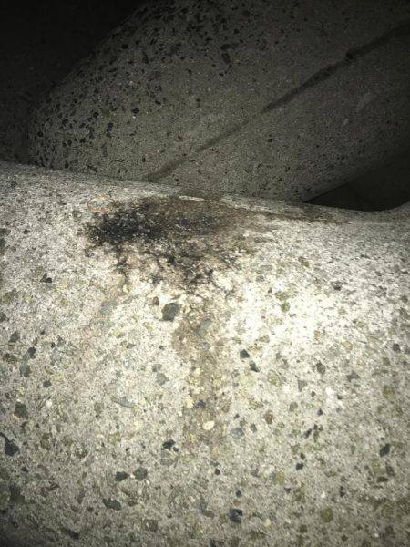 昨日のリベンジに