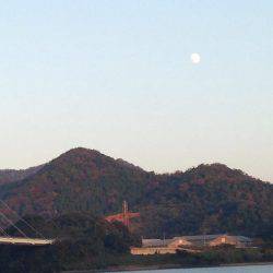 ギリギリの遊び