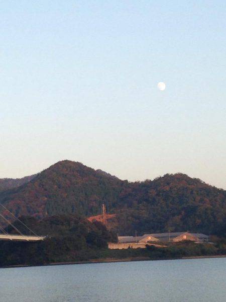 ギリギリの遊び