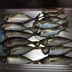 先週 爆風のリベンジ(^^)