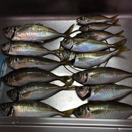 先週 爆風のリベンジ(^^)