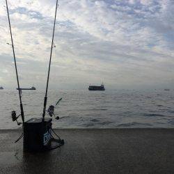 ポーアイ沖堤釣行