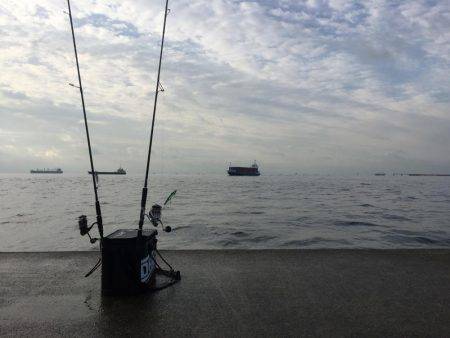 ポーアイ沖堤釣行