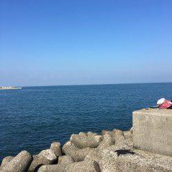 カレイ狙いその4