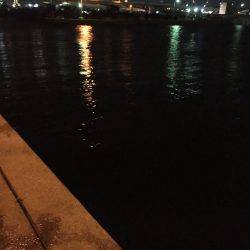 アジング難しい…