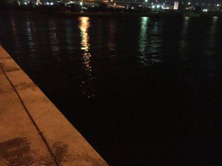 アジング難しい…