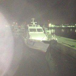 久しぶりに入れ食い