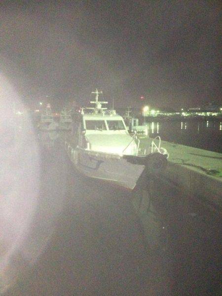 久しぶりに入れ食い