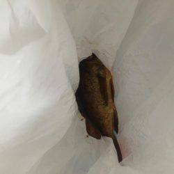 衣奈&由良海釣り公園