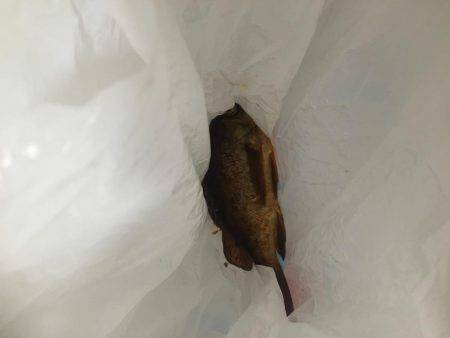 衣奈&由良海釣り公園