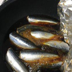 アジングならぬ‥