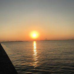 自作フラップリグ