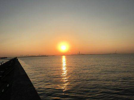 自作フラップリグ