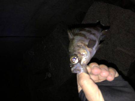 ライトゲーム！