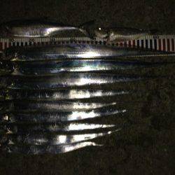 メータータチ二本